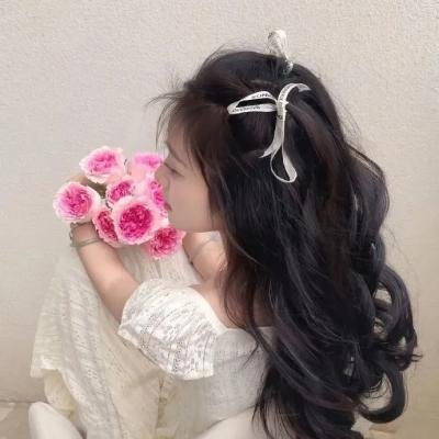 罗贝托·卡洛斯与粉红钻石